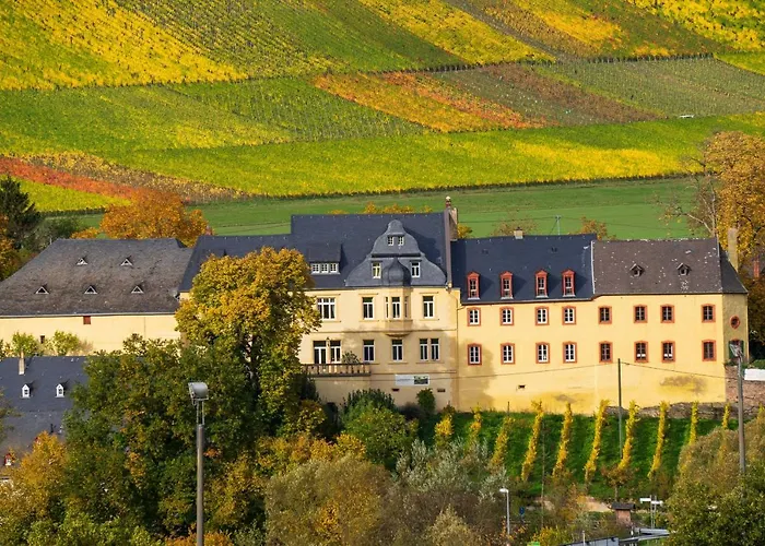 아파트 Kapelle - Urlaub Auf Dem Weingut *