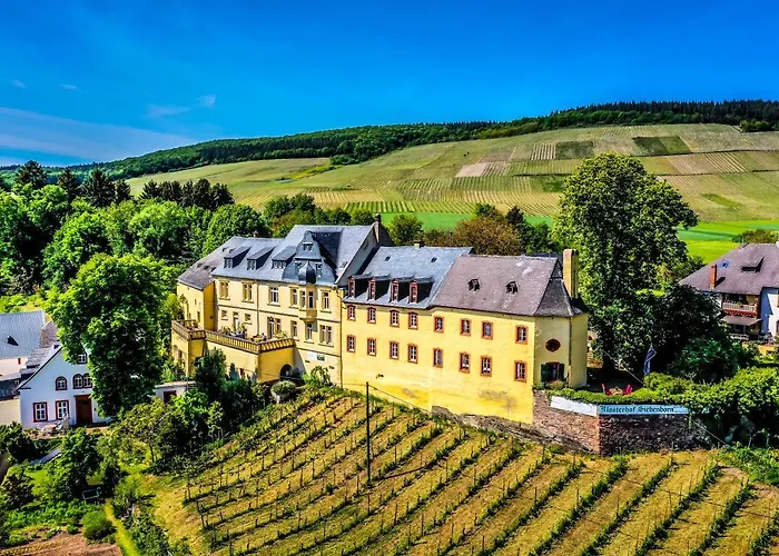Kapelle - Urlaub Auf Dem Weingut 아파트