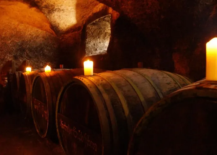 Kapelle - Urlaub Auf Dem Weingut דירה